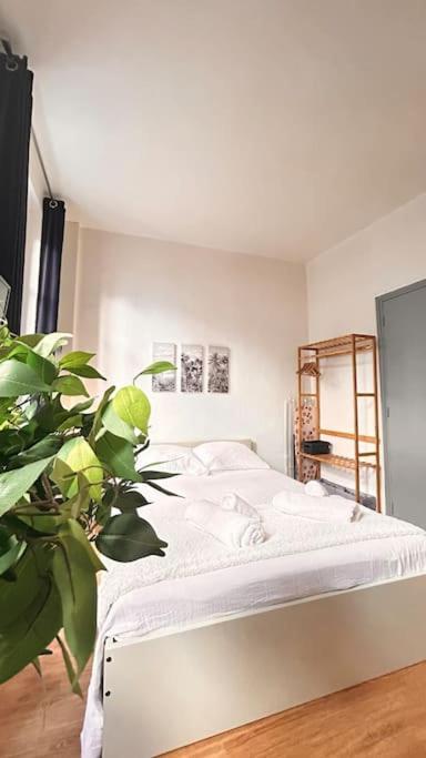 Le Cocon Appartement Montauban Buitenkant foto